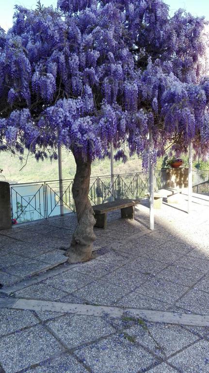 La Casa Di Milady Acomodação com café da manhã Genzano di Roma Exterior foto